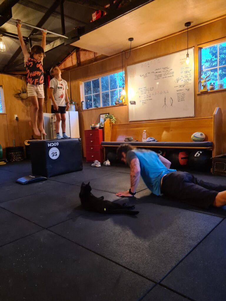Full Body Workout